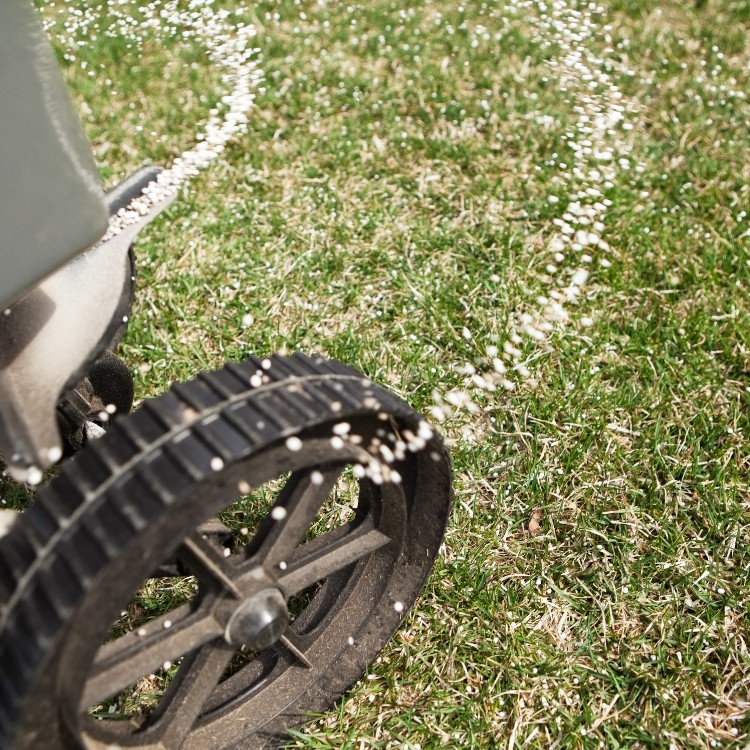 Landscaping in Sterling, VA