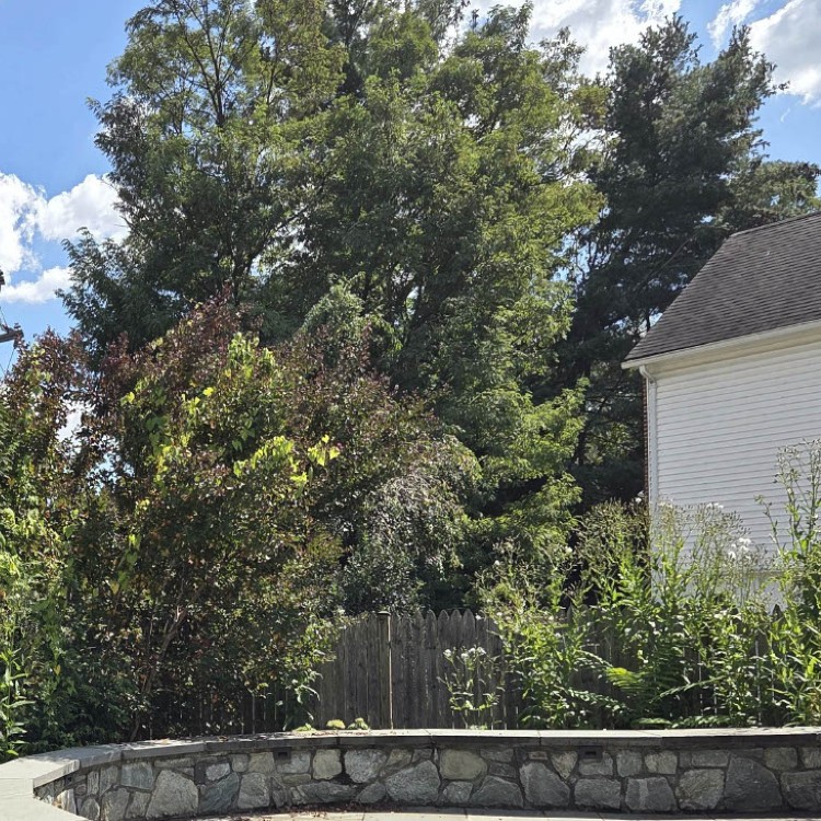 Landscaping in Sterling, VA