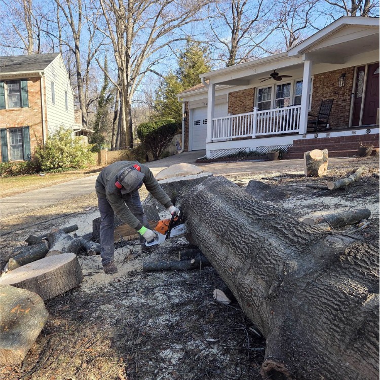 Landscaping in Sterling, VA