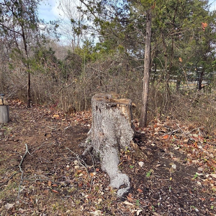 Landscaping in Sterling, VA